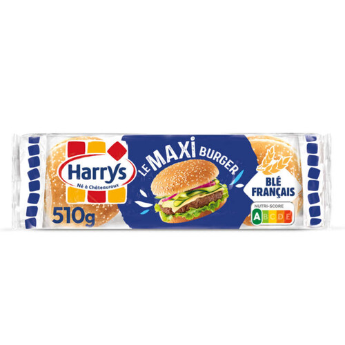 HARRY'S pain burger nature